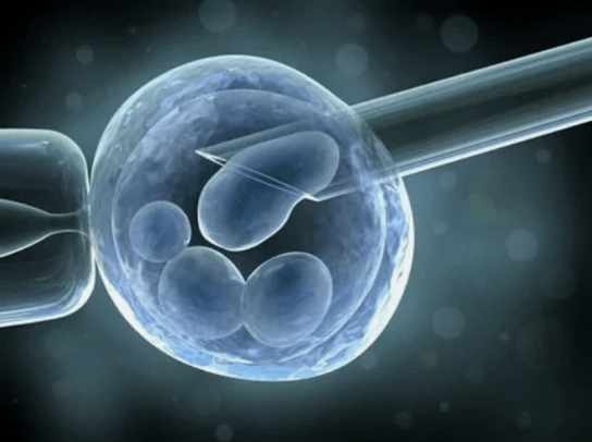 Stem cells for knee treatment